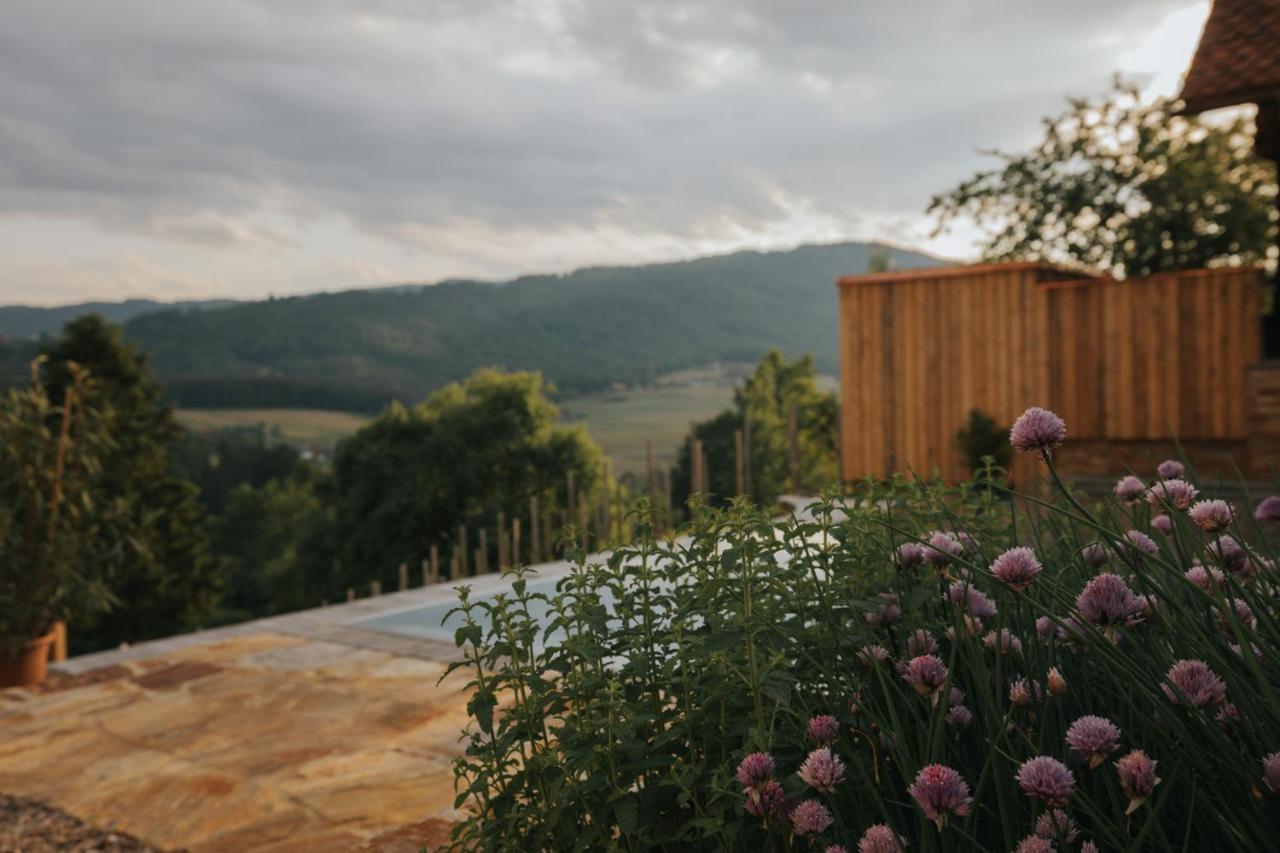 Am Wildbachberg - Luxus Ferienhaeuser Mit Infinitypool, Privatsauna Und Weinkeller Deutschlandsberg Dış mekan fotoğraf